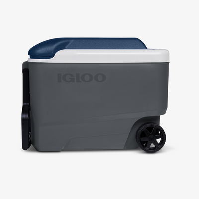 Image::Default Title::Ice retention up to 5 days