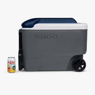 Image::Default Title::Holds up to 52 cans