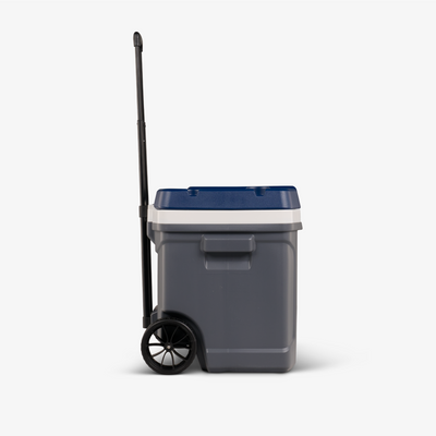 MaxCold Roller Cooler 59L